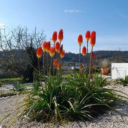 Bb Silvercoast Casa Flores Alojamento de Acomodação e Pequeno-almoço 4*