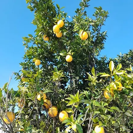 Panzió Bb Silvercoast Casa Flores 4*