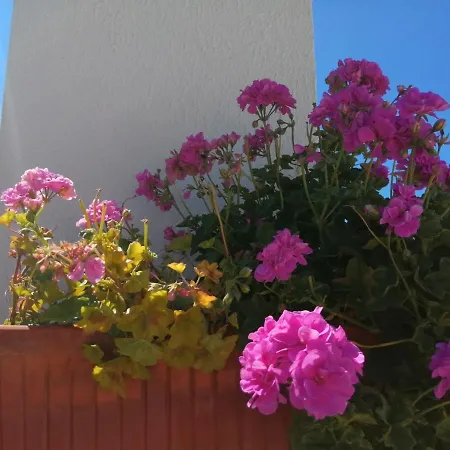 Bb Silvercoast Casa Flores 4*