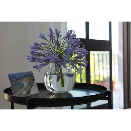Bb Silvercoast Casa Flores Santa Catarina