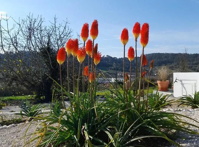 Bb Silvercoast Casa Flores Bed & Breakfast 4*