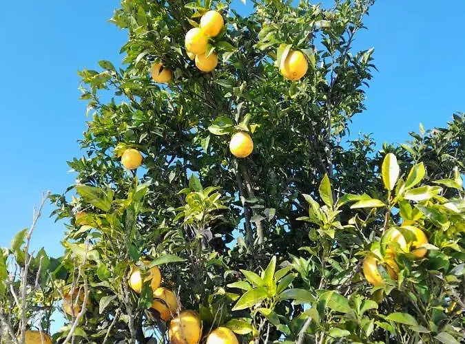 Bed & Breakfast Bb Silvercoast Casa Flores 4*