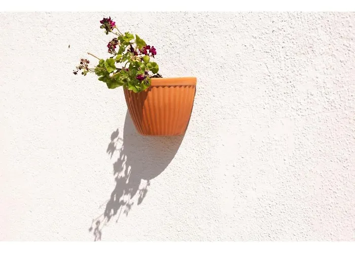 Bb Silvercoast Casa Flores 4*